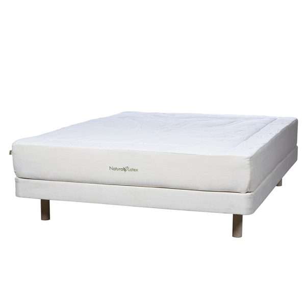 Blossom Plush Level 2