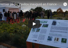 Vidéo : premier jardin Vavilov
